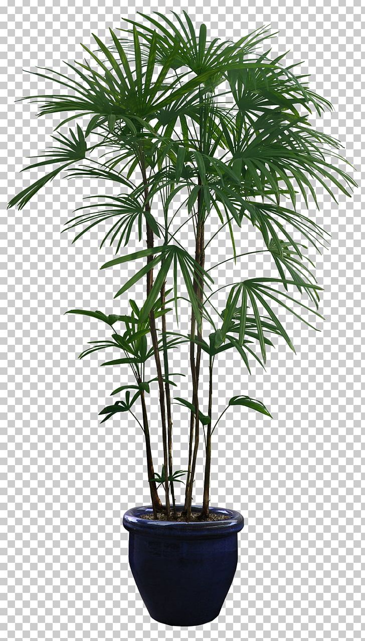 Houseplant Flowerpot PNG, Clipart, Arecales, Artificial Flower, Bamboo, Borassus Flabellifer, Date Palm Free PNG Download