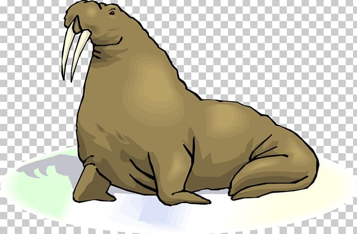 Walrus Free Content PNG, Clipart, Baseball Walrus Cliparts, Bear, Blog, Carnivoran, Computer Icons Free PNG Download