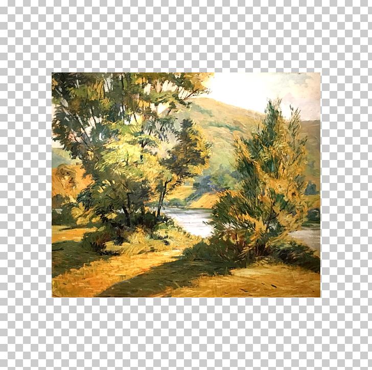 Ecosystem Landscape Biome Tree Painting PNG, Clipart, Biome, Conifer, Conifers, Ecosystem, Family Free PNG Download