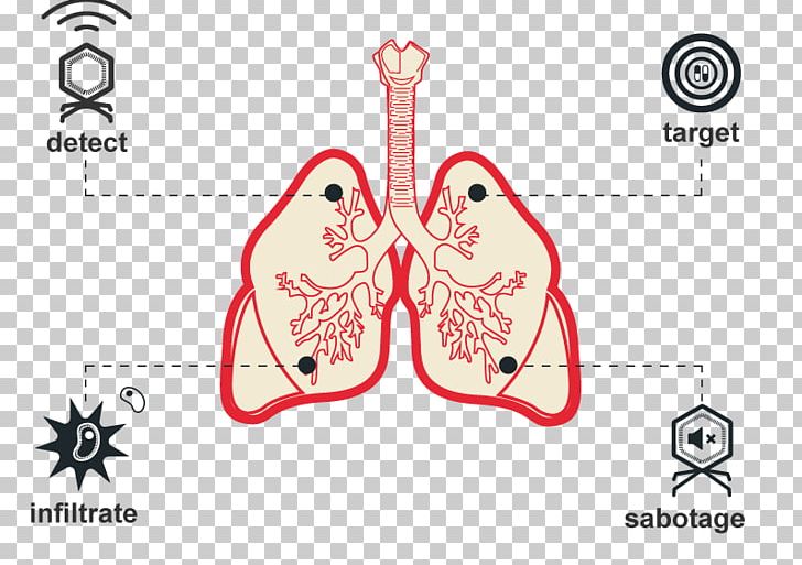 Mycobacterium Tuberculosis International Genetically Engineered Machine Protective Factor Health PNG, Clipart, Antibiotics, Antimicrobial Resistance, Biology, Diagram, Finger Free PNG Download