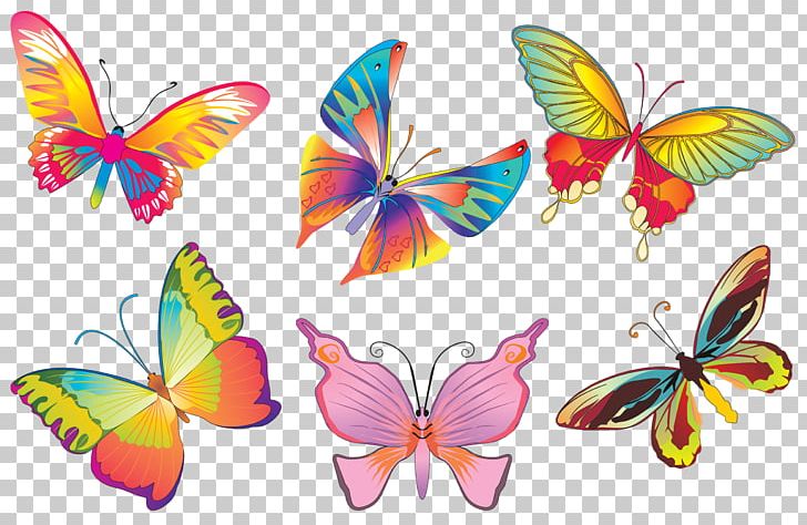 Butterfly Insect Pollinator Drawing Nymphalidae PNG, Clipart, Bmp File Format, Brush Footed Butterfly, Butterflies And Moths, Butterfly, Drawing Free PNG Download