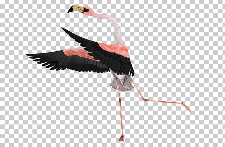 Portable Network Graphics White Stork Surrealism Art PNG, Clipart, Art, Artist, Beak, Bird, Ciconiiformes Free PNG Download