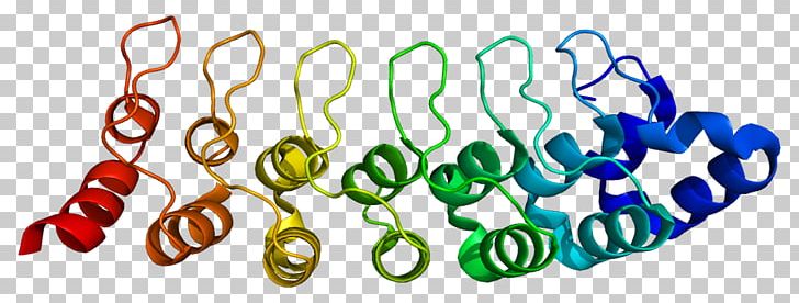 PSMD10 Protease Enzyme Proteolysis Proteasome PNG, Clipart, Adenosine, Adenosine Triphosphate, Atpase, Body Jewelry, Enzyme Free PNG Download