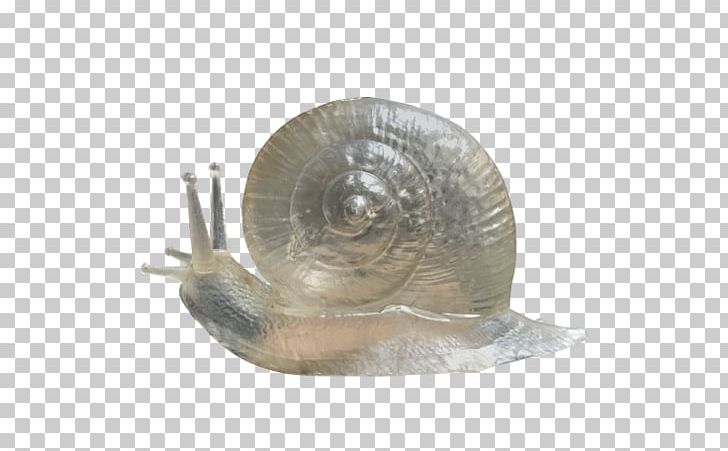 Snail PNG, Clipart, Animals, Cast, Furniture, Ghost, Invertebrate Free PNG Download