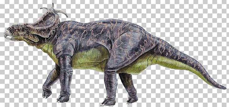 Stegosaurus Reptile Velociraptor Pachyrhinosaurus Dinosaur PNG, Clipart, Animal, Animal Figure, Animals, Cartoon Dinosaur, Computer Font Free PNG Download