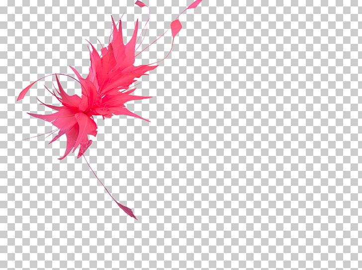 Petal Flowering Plant Leaf PNG, Clipart, Feather, Flower, Flowering Plant, Leaf, Magenta Free PNG Download