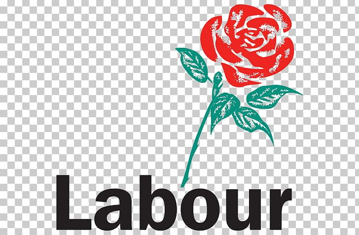 United Kingdom General Election PNG, Clipart, Artwork, Brand, Centreleft Politics, Flower, Flowering Plant Free PNG Download