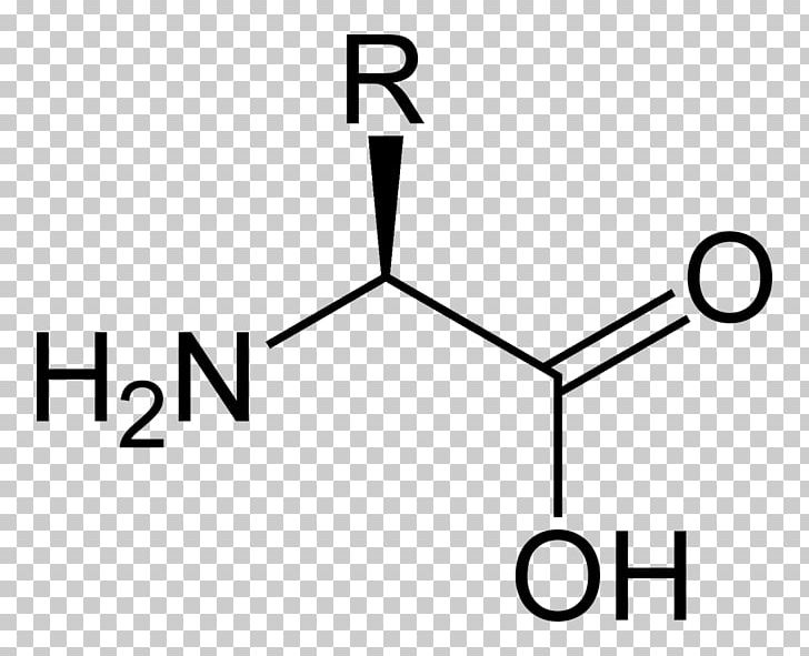 Serine Valine Alanine Amino Acid Tyrosine PNG, Clipart, Alanine, Amino Acid, Angle, Area, Aspartic Acid Free PNG Download