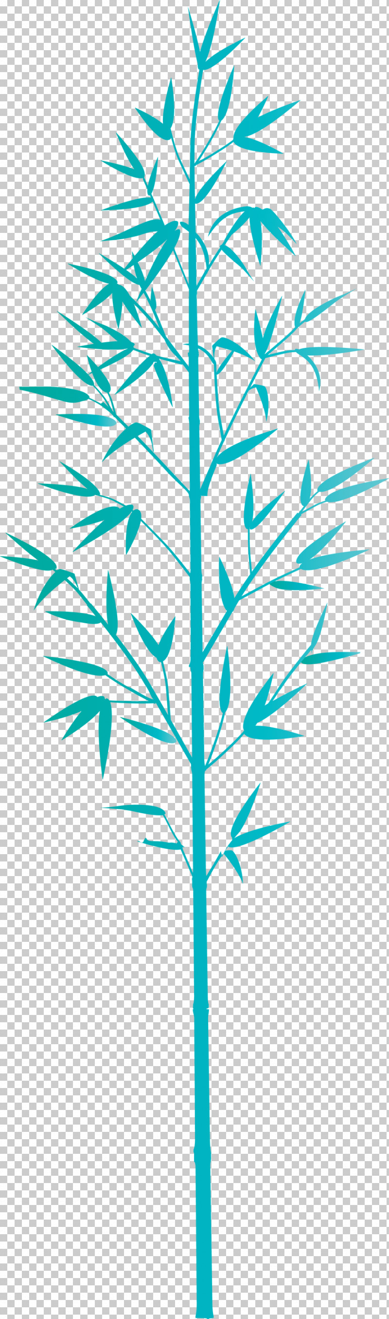 Bamboo Leaf PNG, Clipart, American Larch, Bamboo, Branch, Flower, Grass Free PNG Download