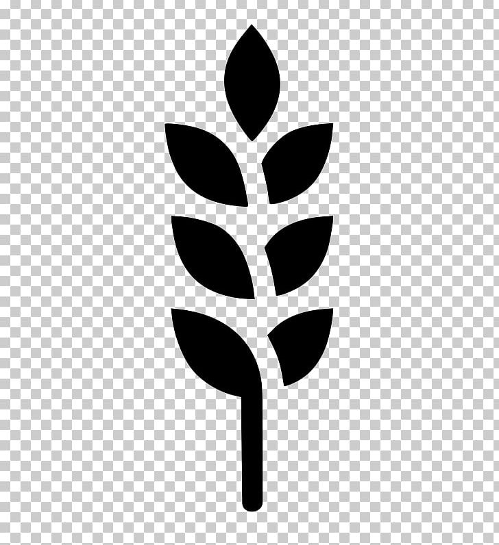 Computer Icons PNG, Clipart, Barley, Black And White, Branch, Cereal, Coix Lacrymajobi Free PNG Download