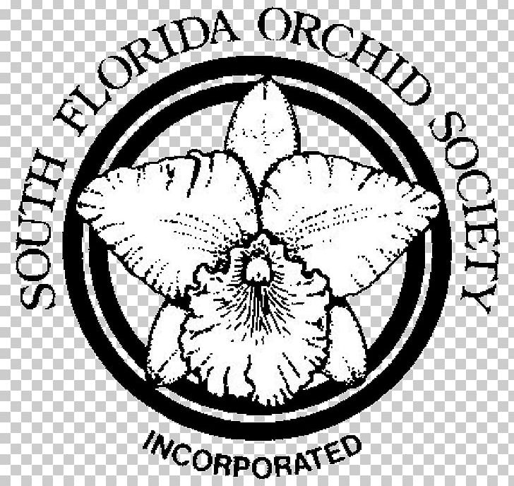 Cut Flowers South Florida Orchid Society Maxillaria Plant Drawing PNG, Clipart, American Orchid Society, Area, Art, Artwork, Black And White Free PNG Download