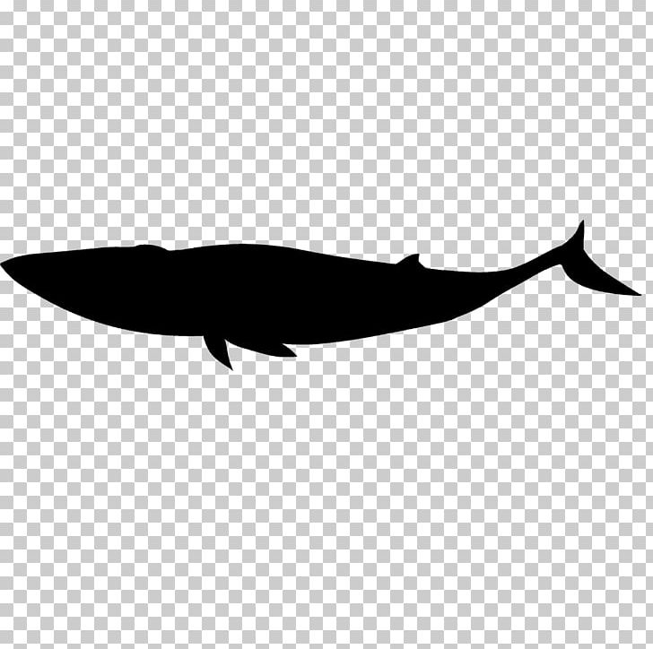 Dolphin Porpoise Cetacea Silhouette PNG, Clipart, Animals, Black And White, Cetacea, Dolphin, Fauna Free PNG Download