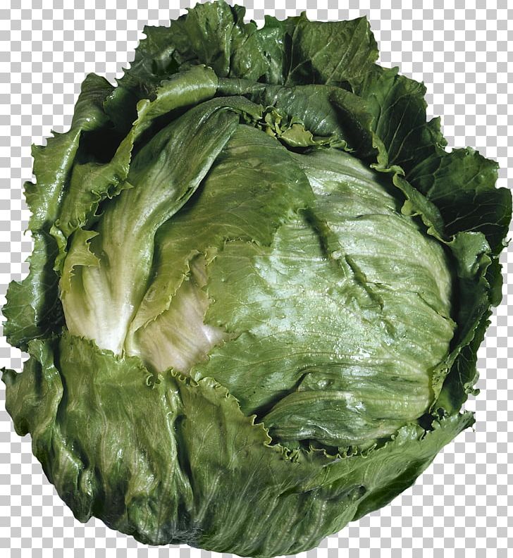 Iceberg Lettuce Vegetable Salad Romaine Lettuce PNG, Clipart, Arugula, Bean, Bell Pepper, Cabbage, Carrot Free PNG Download