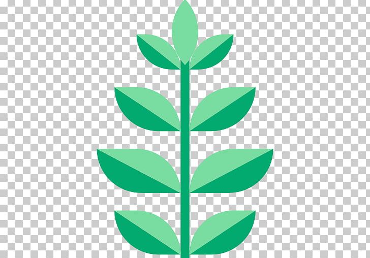 Leaf Green Plant Stem Font PNG, Clipart, Flower, Grass, Green, Leaf, Plant Free PNG Download