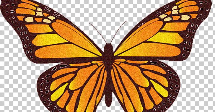 Monarch Butterfly Wing PNG, Clipart, Arthropod, Blue, Brush Footed Butterfly, Butterfly, Caterpillar Free PNG Download