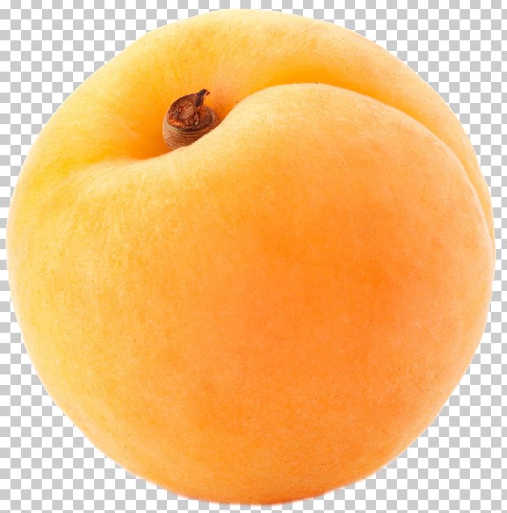 Apricot PNG, Clipart, Apricot Free PNG Download