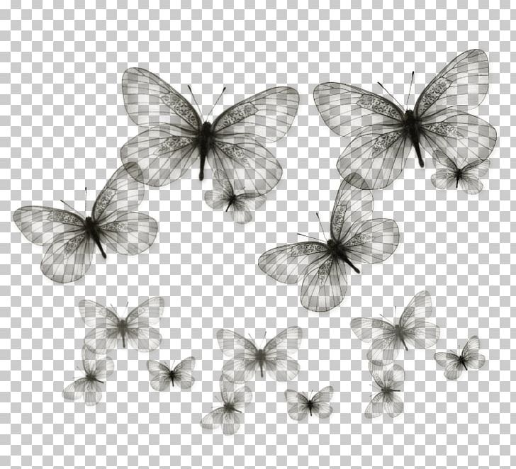 Butterfly PNG, Clipart, Art, Black And White, Brush Footed Butterfly, Butterfly, Clip Art Free PNG Download