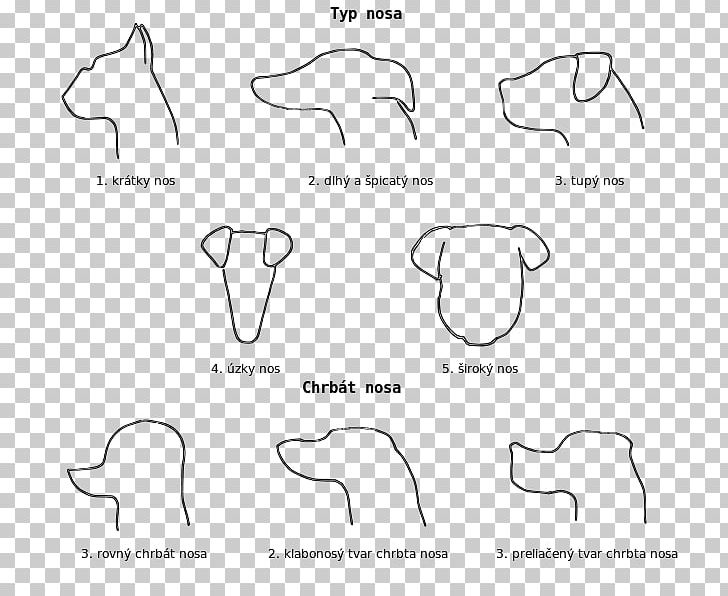 Ear Document Mammal Drawing White PNG, Clipart, Angle, Area, Black And White, Circle, Diagram Free PNG Download