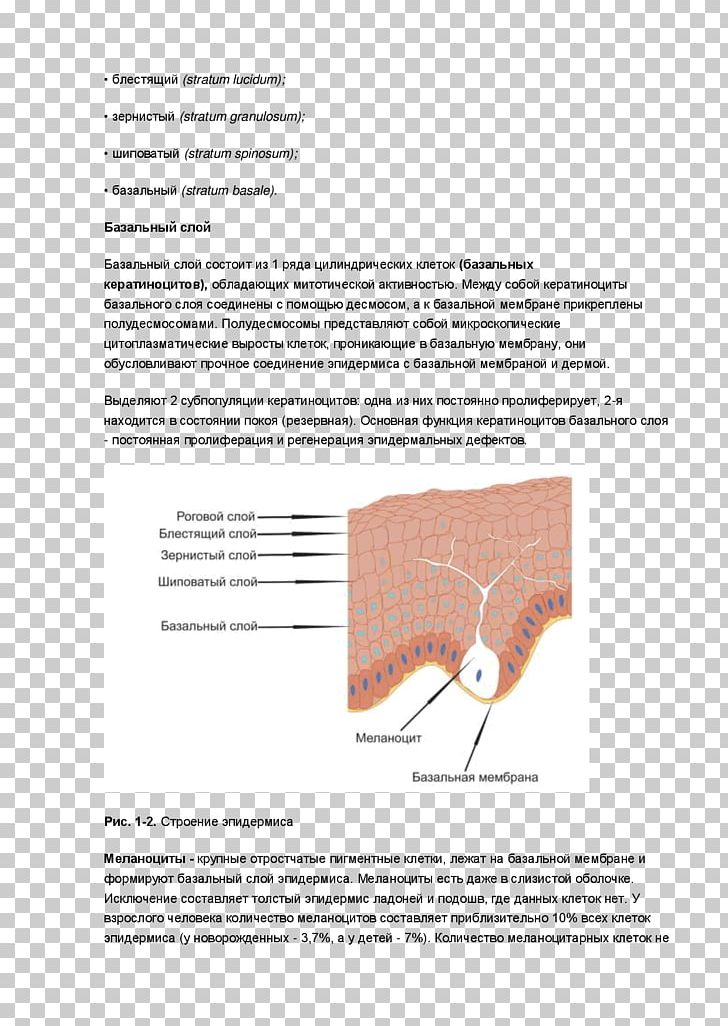 Line Angle PNG, Clipart, Angle, Art, Brochure, Diagram, Line Free PNG Download