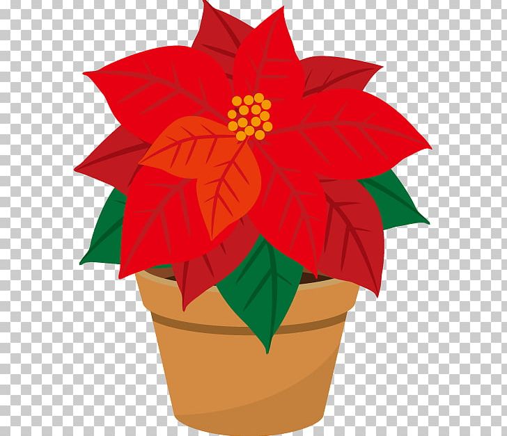 Poinsettia Illustrator PNG, Clipart, Christmas, Encapsulated Postscript, Flower, Flowering Plant, Flowerpot Free PNG Download