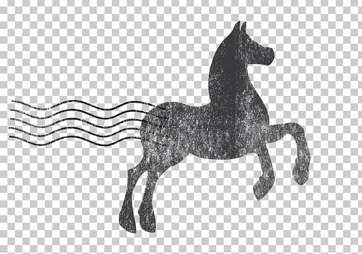 Pony Mule Equestrian Mustang Stallion PNG, Clipart, Black And White, Character, Colt, Curate, Equestrian Free PNG Download