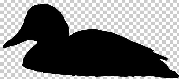 Duck Cornell Lab Of Ornithology Bird Goose PNG, Clipart, Animals, Beak, Bird, Birdwatching, Black And White Free PNG Download