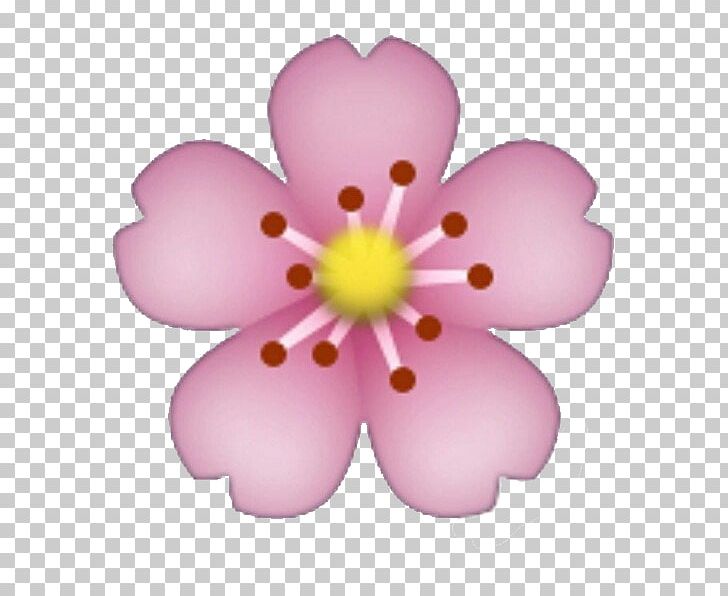 Emoji Flower Sticker IPhone PNG, Clipart, Blossom, Emoji, Flower, Flowering Plant, Information Free PNG Download