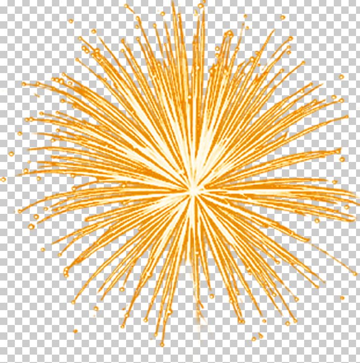 Light Fireworks PNG, Clipart, Bright, Cartoon, Circle, Data, Download Free PNG Download