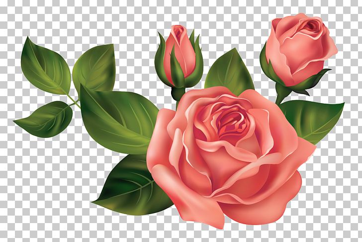 Rose PNG, Clipart, Artificial Flower, Concepteur, Cut Flowers, Design Pattern, Desktop Wallpaper Free PNG Download