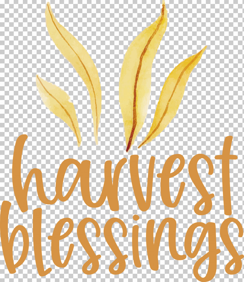 HARVEST BLESSINGS Harvest Thanksgiving PNG, Clipart, Autumn, Biology, Commodity, Flower, Fruit Free PNG Download