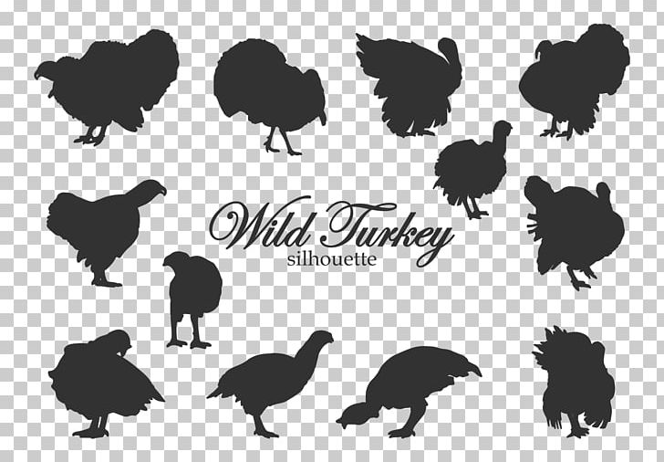 Black Turkey Silhouette Broad Breasted White Turkey PNG, Clipart, Animals, Beak, Bird, Black And White, Black Turkey Free PNG Download