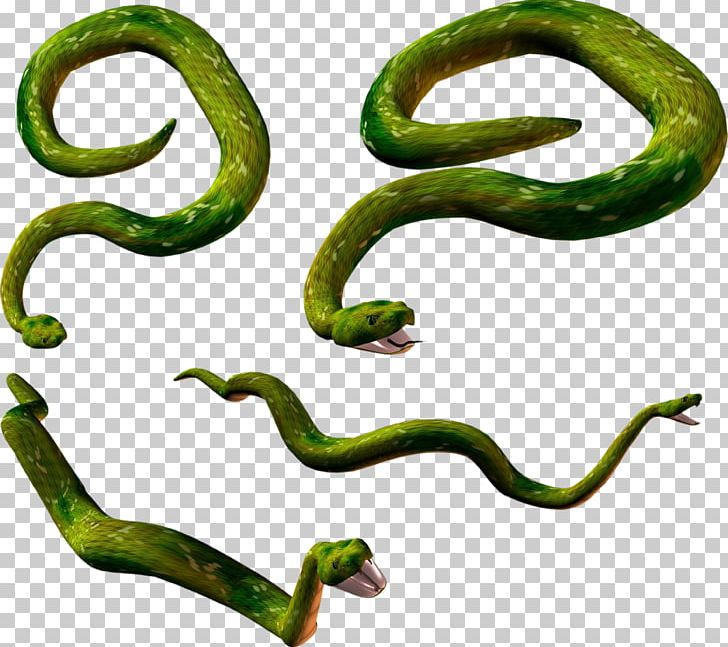 Snake Lizard Reptile PNG, Clipart, Amphibian, Animal, Animal Figure, Animals, Body Jewelry Free PNG Download
