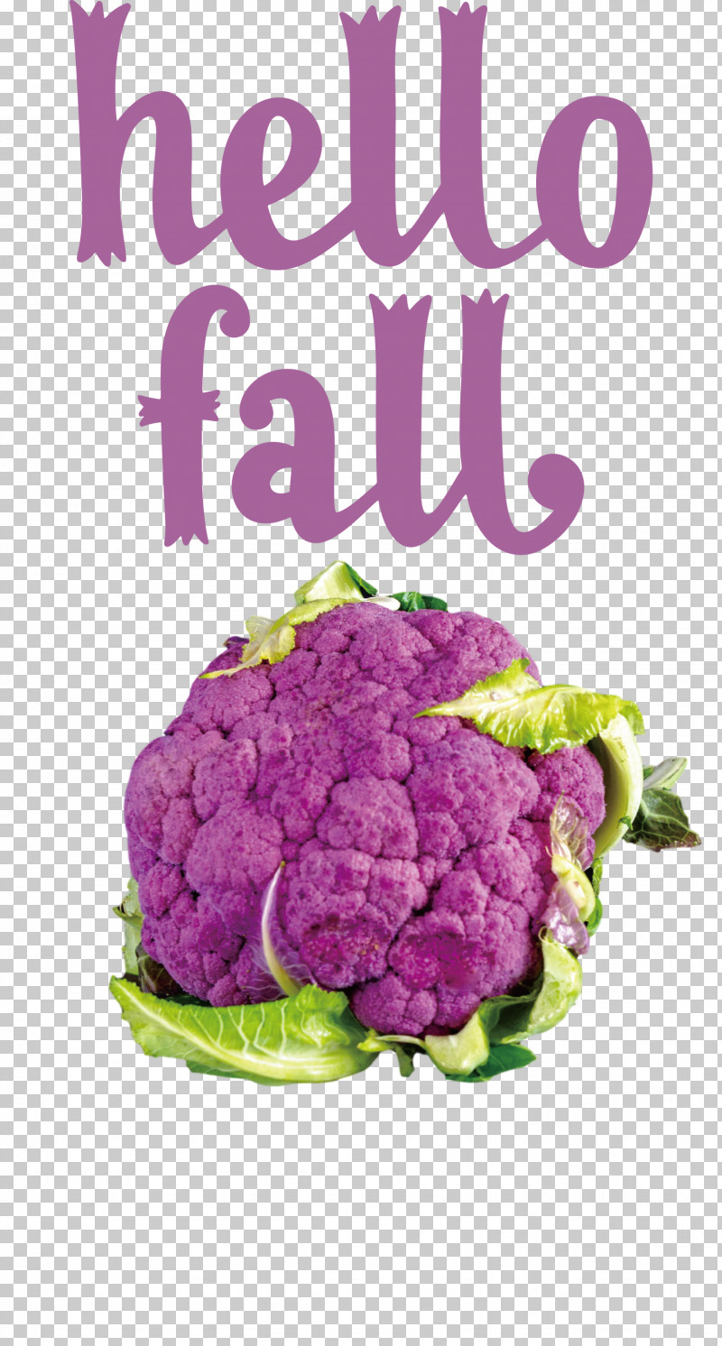 Hello Fall Fall Autumn PNG, Clipart, Autumn, Beet, Beetroot, Cauliflower, Chard Free PNG Download