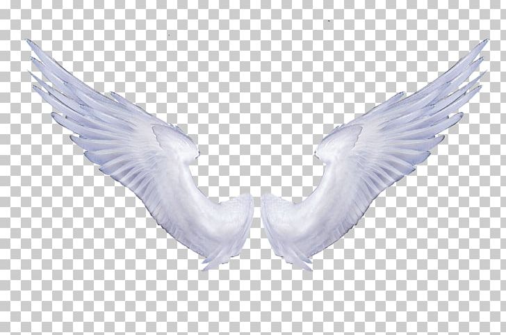 Angel Wings Portable Network Graphics Transparency PNG, Clipart, Angel, Angel Wings, Beak, Bird, Computer Icons Free PNG Download