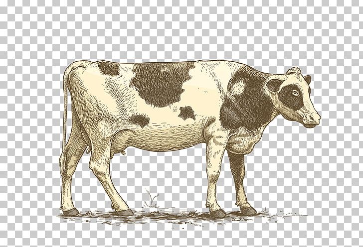 Dairy Cattle Ox Pig Goat PNG, Clipart, Agriculture, Animal, Cattle, Cattle Like Mammal, Cow Dung Free PNG Download