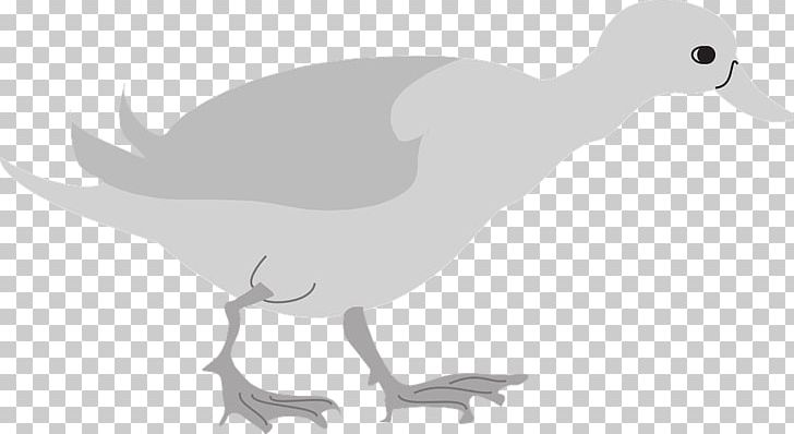 Duck Goose Cygnini Bird PNG, Clipart, Animals, Artwork, Beak, Bird, Black And White Free PNG Download