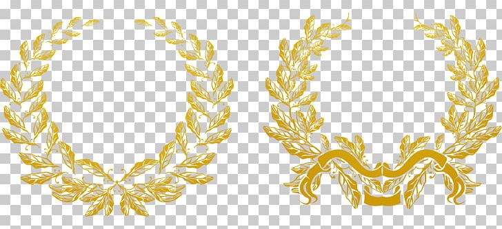 Gold Olive Branch Euclidean Laurel Wreath PNG, Clipart, Body Jewelry, Chain, Encapsulated Postscript, Featured, Gold Free PNG Download