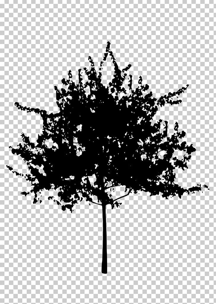 Tree Silhouette PNG, Clipart, Black And White, Branch, Euclidean Vector, Leaf, Line Free PNG Download