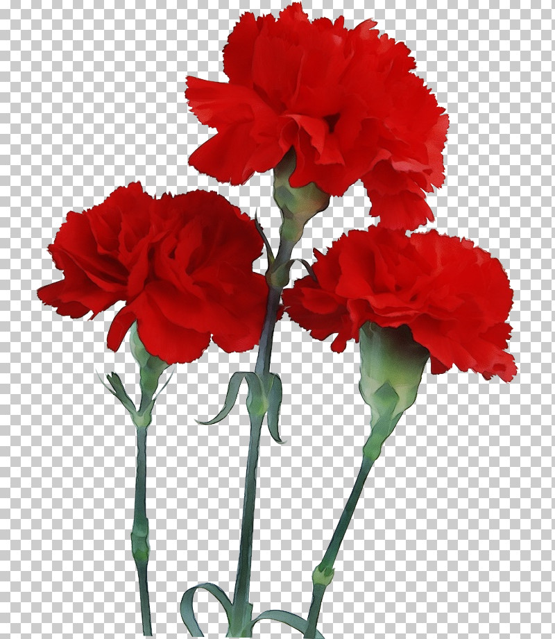 Artificial Flower PNG, Clipart, Annual Plant, Artificial Flower, Carnation, Caryophyllales, Coquelicot Free PNG Download