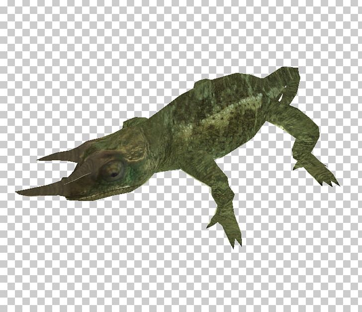 Crocodile Alligator Terrestrial Animal PNG, Clipart, Alligator, Animal, Animal Figure, Animals, Chameleon Free PNG Download