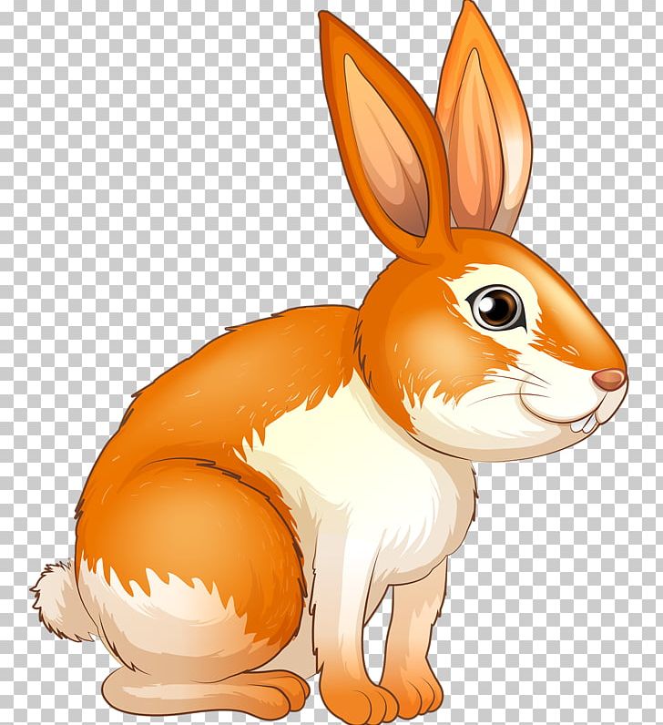 European Rabbit Illustration PNG, Clipart, Animals, Bunnies, Bunny, Cartoon, Cute Animal Free PNG Download