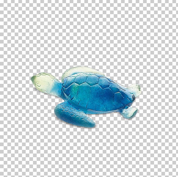 Loggerhead Sea Turtle Green Sea Turtle Archelon PNG, Clipart, Animal, Animals, Aqua, Archelon, Blue Free PNG Download