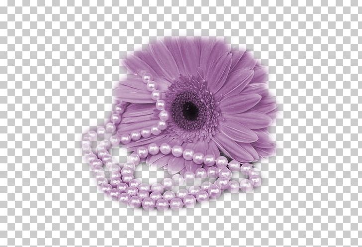 Purple Chrysanthemum PNG, Clipart, 3d Computer Graphics, Encapsulated Postscript, Float, Flower, Hand Free PNG Download