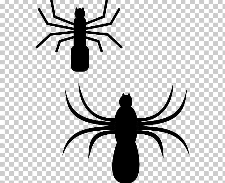 Spider Web PNG, Clipart, Animation, Art, Artwork, Black And White, Black Widow Spider Free PNG Download