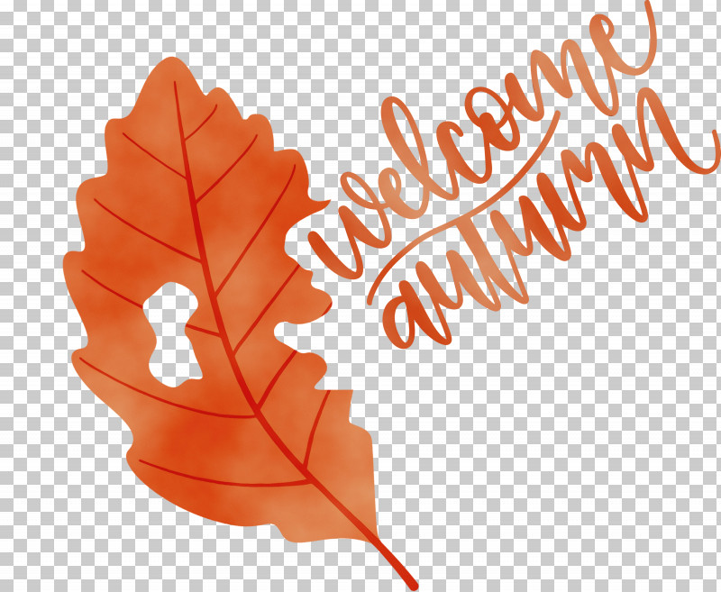 Maple Leaf PNG, Clipart, Autumn, Biology, Flower, Leaf, Maple Free PNG Download