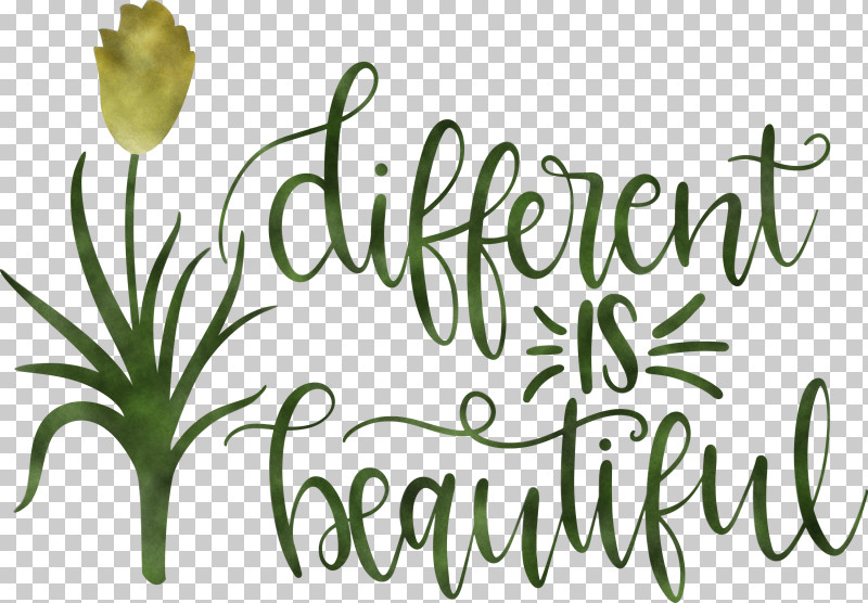 Different Is Beautiful Womens Day PNG, Clipart, Biology, Cut Flowers, Floral Design, Flower, Meter Free PNG Download