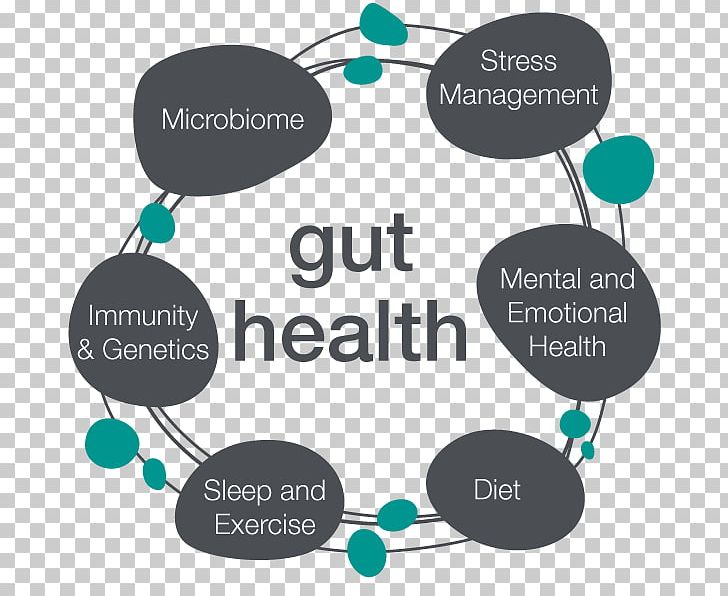 Human Microbiome Project Gastrointestinal Tract Microbiota Gut Flora Probiotic PNG, Clipart, Biome, Brand, Circle, Circle Banner, Communication Free PNG Download