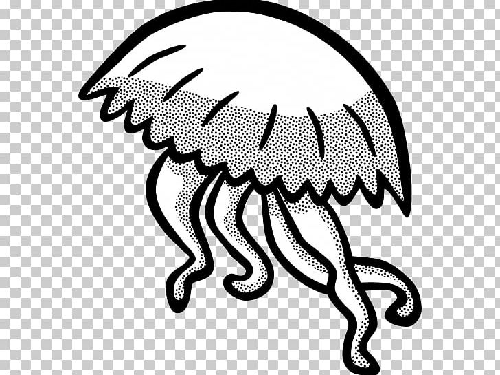 Jellyfish Graphics Portable Network Graphics PNG, Clipart, Animal, Aquatic Animal, Artwork, Beak, Bird Free PNG Download