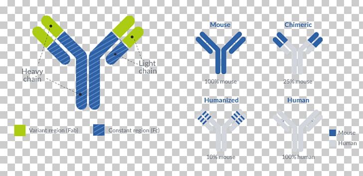 Monoclonal Antibody Production Imatinib Drug PNG, Clipart, Antibody, Brand, Cancer, Chronic Myelogenous Leukemia, Diagram Free PNG Download