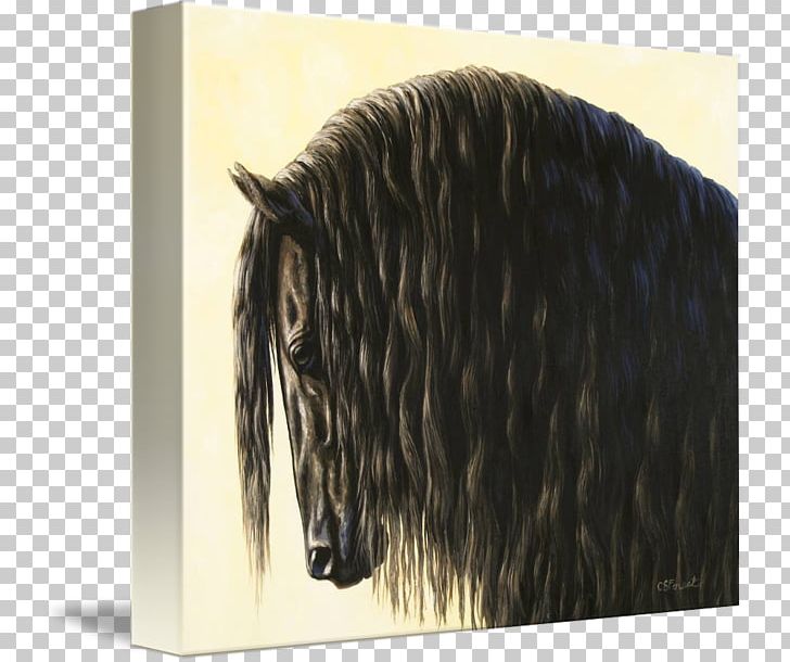Friesian Horse Painting Canvas Print Mustang Stallion PNG, Clipart, Animal, Apple Iphone 7 Plus, Art, Canvas, Canvas Print Free PNG Download